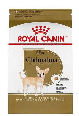 RC Chihuahua Adulte 10lb