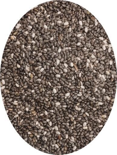 Graine de Chia 300g