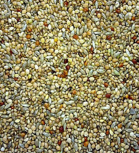 Pinson Econo 18kg