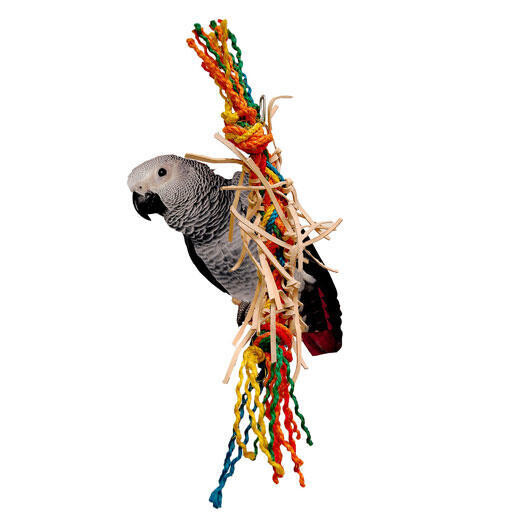 JOUET OISEAUX PUNCHO MOYEN (H: 24'')