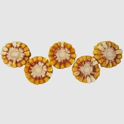 Rondelles de Mais 9 unités