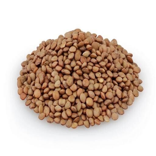 Graines de germination Lentilles Brunes 500g