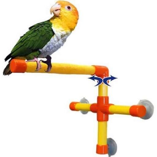 ZOOMAX JOUET OISEAUX PERCH. DOUCHE &amp; FENÊTRE P 9&#39;&#39;HX9&#39;&#39; T2001