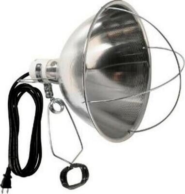 Lampe 10'' à pince avec protection d'ampoule