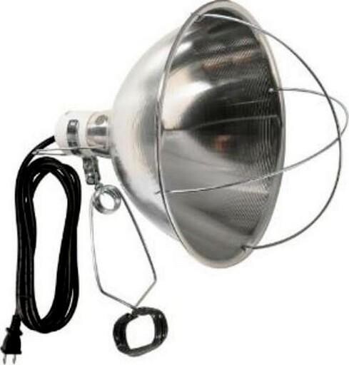 Lampe 10&#39;&#39; à pince avec protection d&#39;ampoule