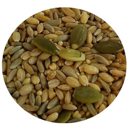 Top's Mélange de graines tout-en-un 1Lb