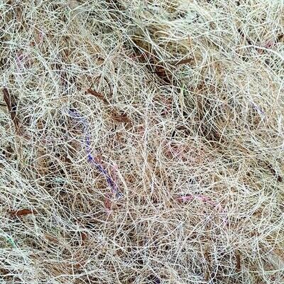 Matériel pour nid coco/sisal 100g