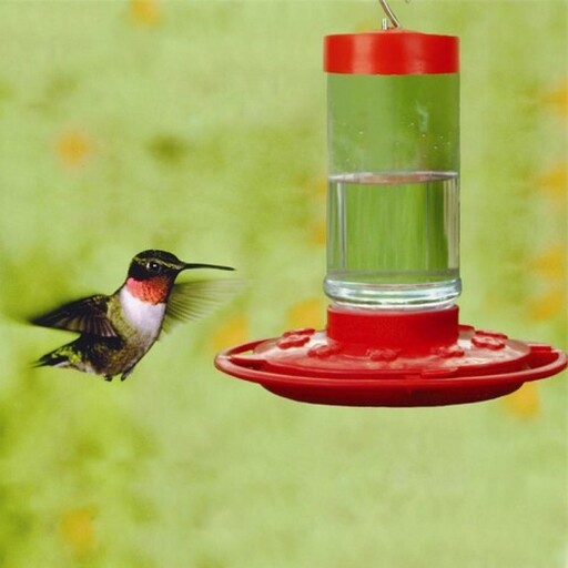 Abreuvoir à colibri First Nature