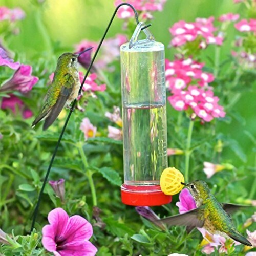 Abreuvoir a Colibri 10oz