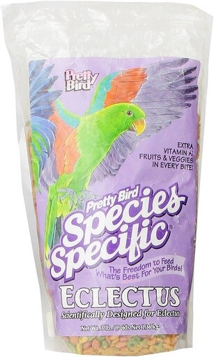 Pretty Bird / Eclectus Special 8lb