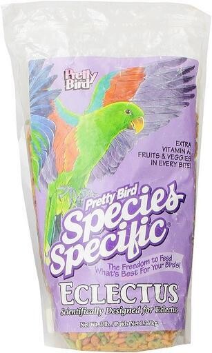 Pretty Bird Eclectus 3Lb