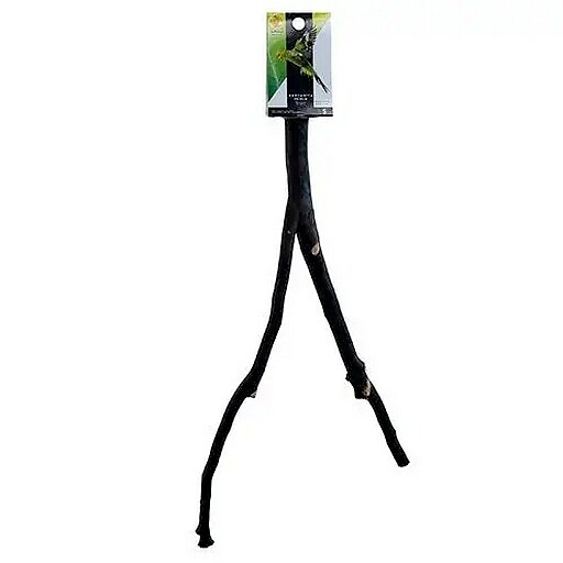 Perchoir Manzanita à branches multiples/Manzanita Perch