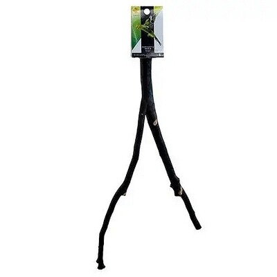 Perchoir Manzanita à branches multiples/Manzanita Perch