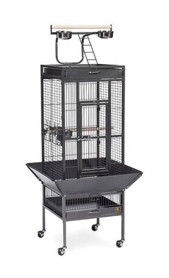 CAGE CASTANEA POUR PETIT PERROQUET 46X46X155CM (18X18X61'') NOIR