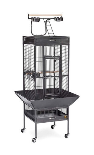 CAGE CASTANEA POUR PETIT PERROQUET 46X46X155CM (18X18X61&#39;&#39;) NOIR