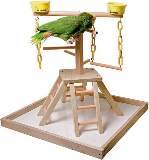 Acro Bird parc d&#39;amusement 24&#39;&#39; (PB24)