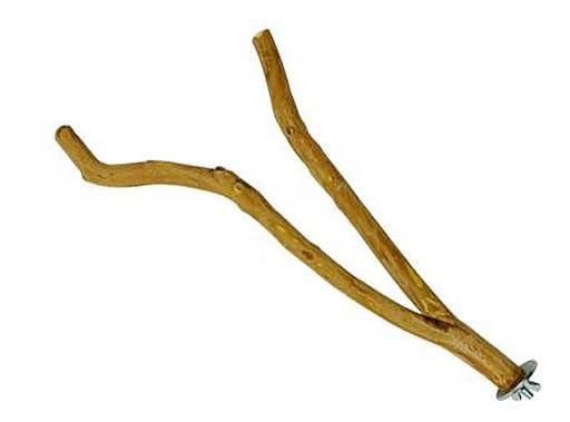 Branche DragonWood 10-12&#39;&#39;