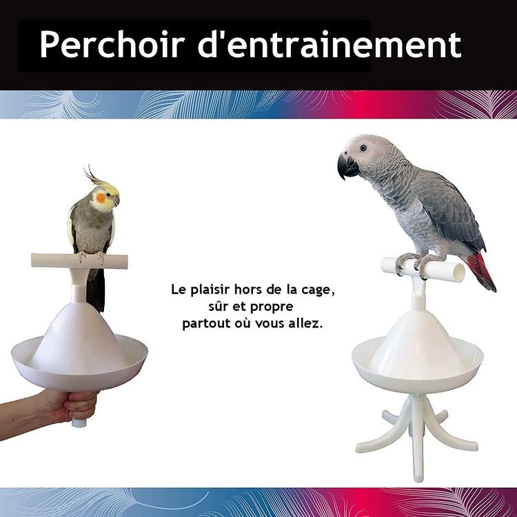 Perchoir portable/Portable Training perch