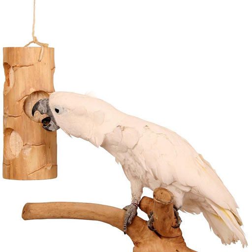 W 20093 Ole Bird Kabob-15.5in/130g