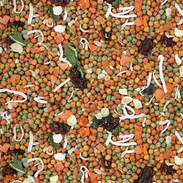 Intune Harmony Parakeet 2lb