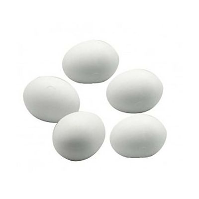 Oeufs factices Cockatiel/Conure