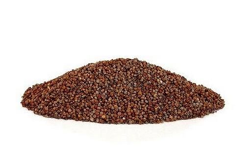 Birds go Wild Perilla Brun 500g