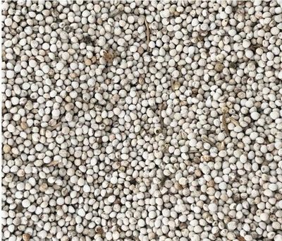 Birds go Wild Perilla Blanc 400g