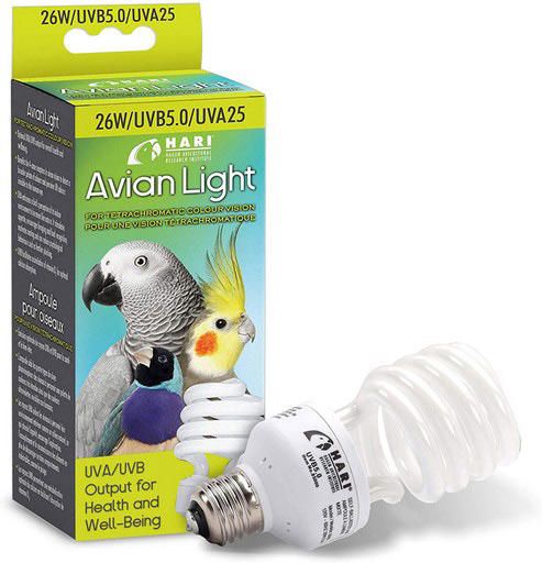 Ampoule HARI pour oiseaux, 26 W