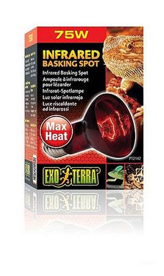 75W Heat-Glo Lamp.Infrar.Noct.-V