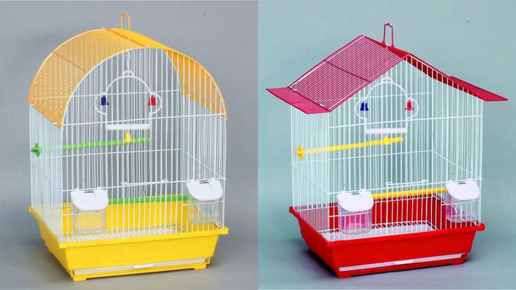 BEAKS! Cage Canari/Pinson (14x11x18&#39;&#39;) Bleu/Jaune/Rouge