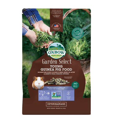 OXBOW RONGEUR GARDEN SELECT JEUNE COCHON D&#39;INDE 4lbs (CS = 8 )