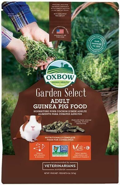 OXBOW RONGEUR GARDEN SELECT COCHON D&#39;INDE ADULTE 4lbs