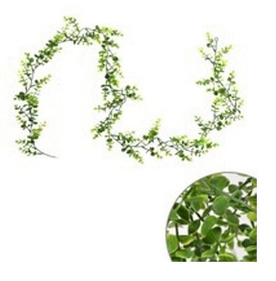 Guirlande de feuilles de Buis 5'