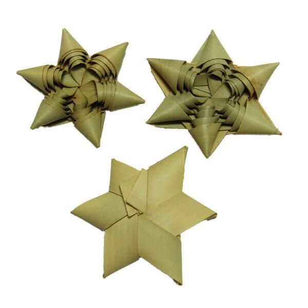 Étoile Palmier Triple 2&#39;&#39; (10)