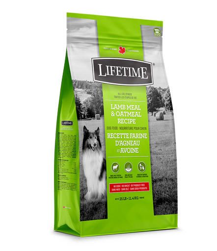 LIFETIME CHIEN AGNEAU/AVOINE 11.4KG