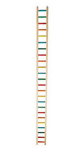 ECHELLE DE BOIS DUR (4.50&#39;&#39;LA)5 PIEDS
