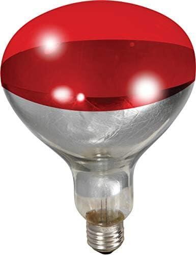 Ampoule de Lampe Chauffante 250W