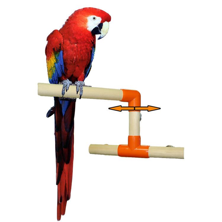 ZOOMAX JOUET C.S. OISEAUX SUPP.AIRE JEUX 36&#39;&#39;X36&#39;&#39;X80&#39;&#39;G C.S. T3003