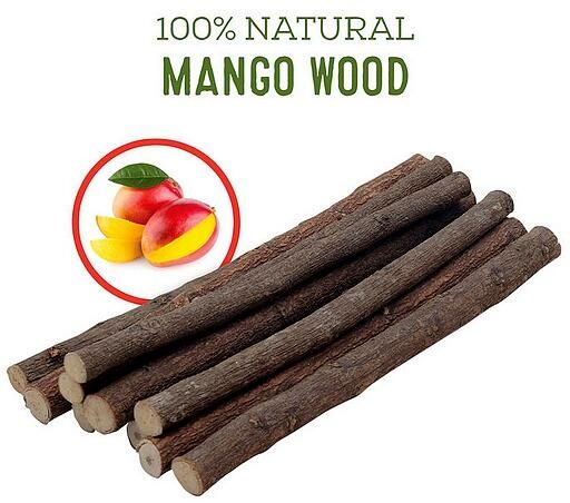 Régals, batonnet manguier (paquet 10)