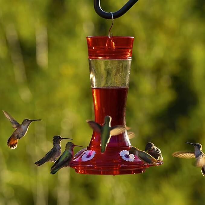 Mangeoire Colibri Garnet