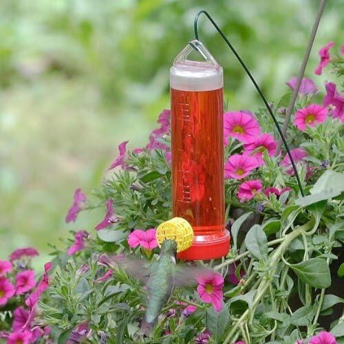 Abreuvoir à colibri 10oz