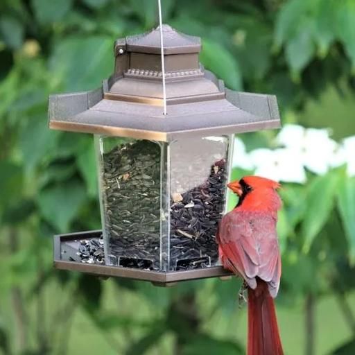 Mangeoire Lanterne petite