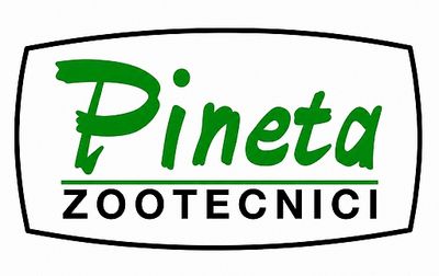 Pineta