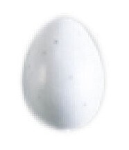 Oeufs factices Canaris/Pinsons