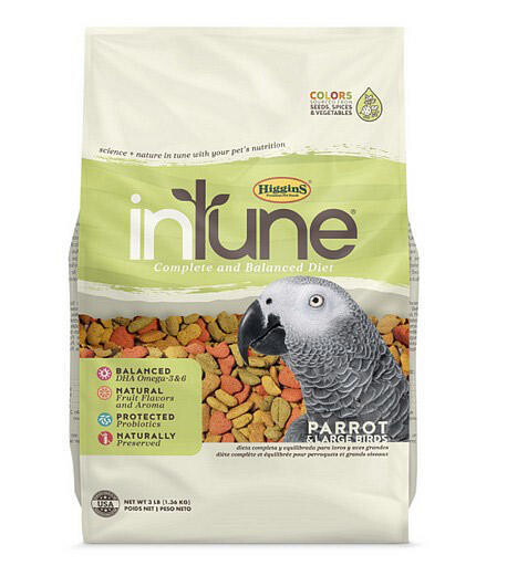 inTune Perroquet 3lb