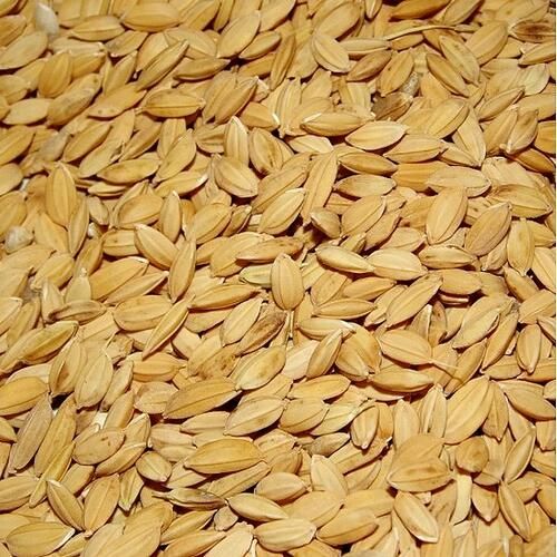 Birds go Wild Riz Paddy (paddy rice) 1KG