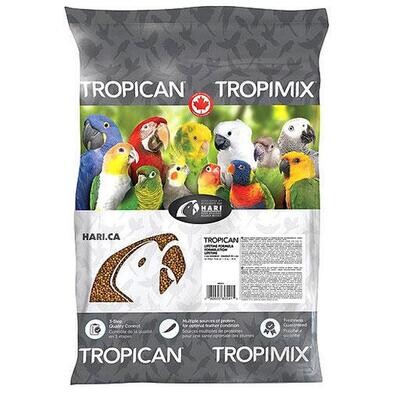 Lifetime Tropic., perr., 4mm, 25lb