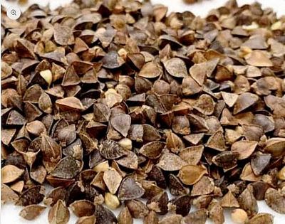Birds go Wild Graines de Sarrazin 1kg