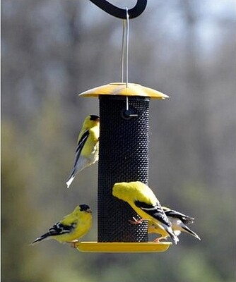 mangeoire a Chardon Diam 2,5''x8''H