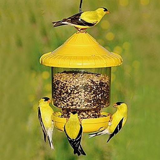 Mangeoire Clingers only Jaune